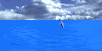 DOLPHIN2_JMP_SKY.GIF (47094 bytes)