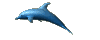 DOLPHIN_CLR.GIF (7267 bytes)